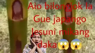 Gue japango Jesu ni kang dake Nikama Nikja,😱😱