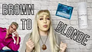 How I Went From Dark Brown to Platinum Blonde Hair [SALON SECRETS - Removing Orange]