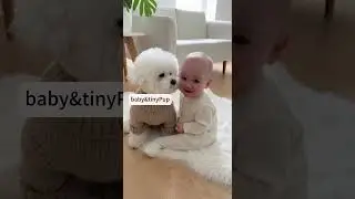 &ldquo;The Sweetest Moment Between a Baby and a Dog 🤍&rdquo;