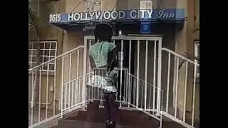 The Hotel's Hunny