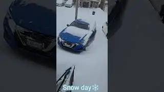 Snow day (so much snow)! #winter #snowstorm #canada #canadakuruvi #subscribe #snow 