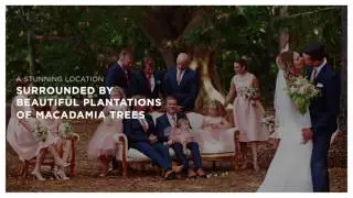 Weddings In The Grove