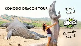Komodo Dragon Tour | Rinca and Komodo Island