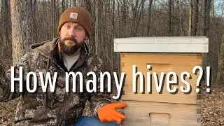 My Journey - Hobbyist to Commercial Beekeeper | Let’s Go!