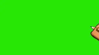 hand green screen