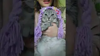 Моя самая неповторима Тэсси🫶#котейкамоя #кошара #милота #смешновидео #тиктоклучшее #трендытиктока