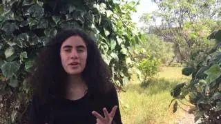 WeSave - pitch video technovation 2017