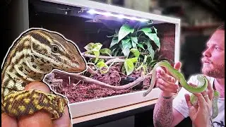 KEEPERS COLLECTIONS: Episode 2 - Beaches Scaly Beasts