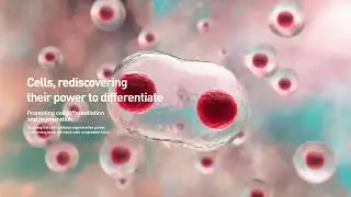 Novastem BC - Biologics Concentration