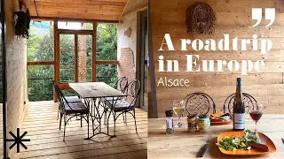 Europe travel vlog | road trip to Alsace with dog