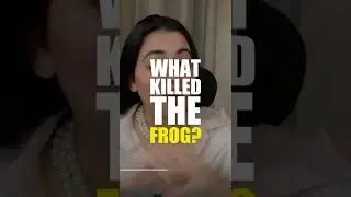 Boiling frog syndrome #shorts #shortsyoutube #shortsfeed #psychologyfacts #shorttrending