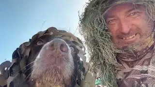 2025 waterfowling season promo. Get excited a very good breeding season.