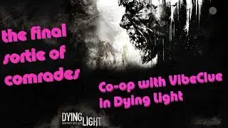 The final sortie of comrades. Co-op with VibeClue in Dying Light