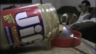 Jiff in my dog