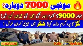🌾 Wheat Price Today Punjab | Makki, Munji, Sarson & Gur Rates | Shocking Mandi Update