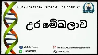 Sternum & glenoid cavity |AL Skeleton System Sinhala / asthi paddathiya|