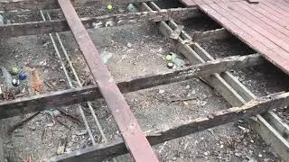 When termites eat your deck