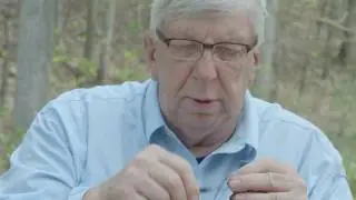 FOCUS ON THE FLY:  Lightning Bug with Joe Messinger