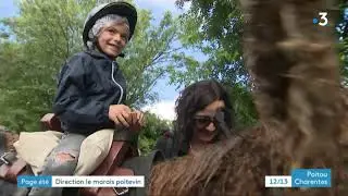 Destination Nouvelle-Aquitaine : le Marais poitevin  (Deux-Sèvres)