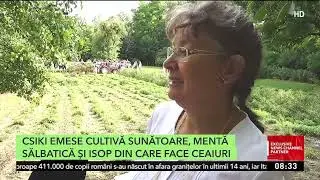 Grădina cu plante vindecătoare de la Avrămeşti, o cultură românească 100% naturală