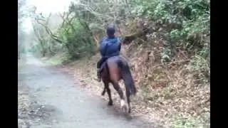 Helen on Derrin