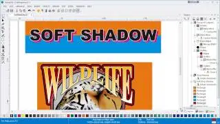 Soft Drop Shadow