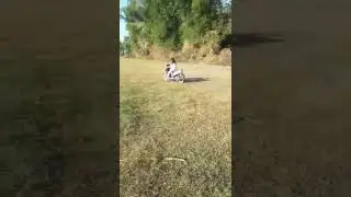anak SD sok-sok'an belajar naik motor ya begini, gk konsen jatuh deh🤭 #shorts #short #anak #motor