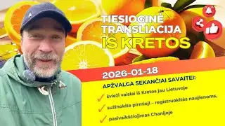 📣 Kretos aktualijos: švieži vaisiai iš Kretos Lietuvoje, pasivaikščiojimas Chanijoje | 2026-01-18