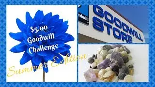 $5.00 GOODWILL CHALLENGE: Summer Edition