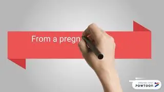 zika transmission