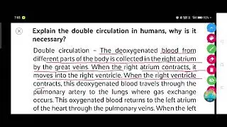 Explain the double circulation in humans, why is it necessary?