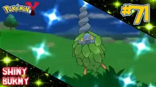 [LIVE] Shiny Burmy in Y after 40 Radar Chain!