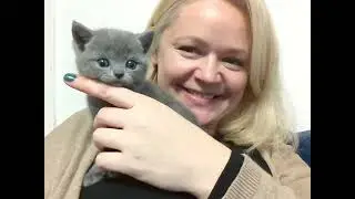 VLOG Ksenia Dezember 2022 Holland Zwergspitze Weihnachten