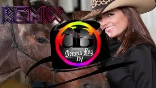 Sinto Falta Dela   Carlos e Jader SERTANEJO REMIX 2019