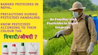 Pesticides in Nepal: Know the 26 Banned Pesticides, Risks & Safety Measures