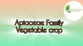 Carrot Crop #Apiaceae family#Vegetable Science #ASRB Net Vegetable Science Preparation#ICAR#Hort.