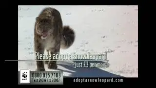 WWF UK - Snow Leopard (2011)