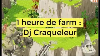 [DOFUS RETRO] 1 heure de farm - Donjon Craqueleur