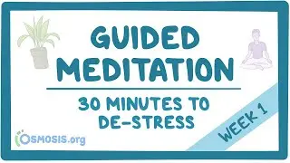 COVID-19 | Guided Meditation: 30 Minutes to De-Stress
