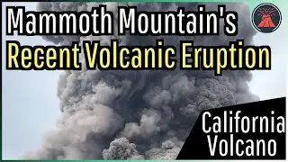 The Recent Volcanic Eruption at Mammoth Mountain in California
