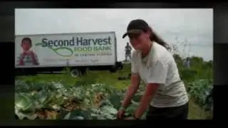 Gleaning - Farm to Food Bank