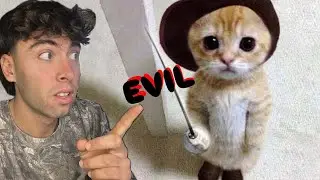 A CAT Makes me Question My Life in ELDEN RING