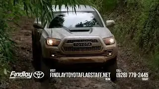 Northern Arizona Toyota Dealer - Findlay Toyota Flagstaff