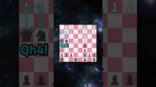 Stafford gambit song💙