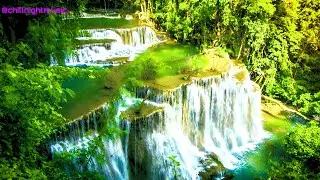 Relaxing Music And Meditation Music And Stress Relief Music