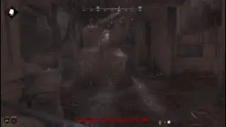 Hunt showdown -Cruel Bully