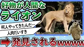 ライオンさん、大いなる誤解を招くｗｗｗ【2ch動物スレ】