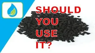 USING CARBON IN A PLANTED TANK | QUICK TIP 009