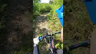✅ Quick ride #mtb #enduro #bikepark #downhill #happiness #forest #blogger