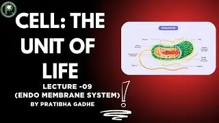 CELL : THE UNIT OF LIFE | L-09 ENDO MEMBRANE SYSTEM #cellbiology #endomembrane 